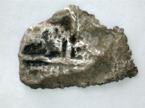 Corroded-Cobs-From-Gorda-Cay-In-The-Bahamas
