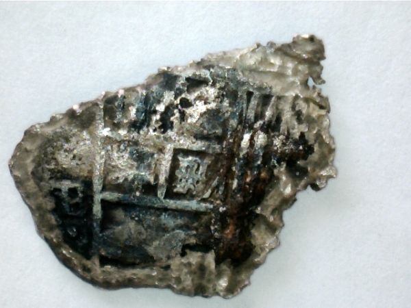 Corroded-Cobs-From-Gorda-Cay-In-The-Bahamas