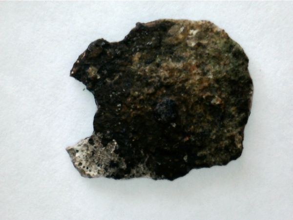Corroded-Cobs-From-Gorda-Cay-In-The-Bahamas