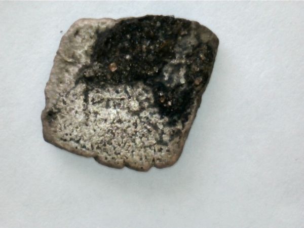 Corroded-Cobs-From-Gorda-Cay-In-The-Bahamas