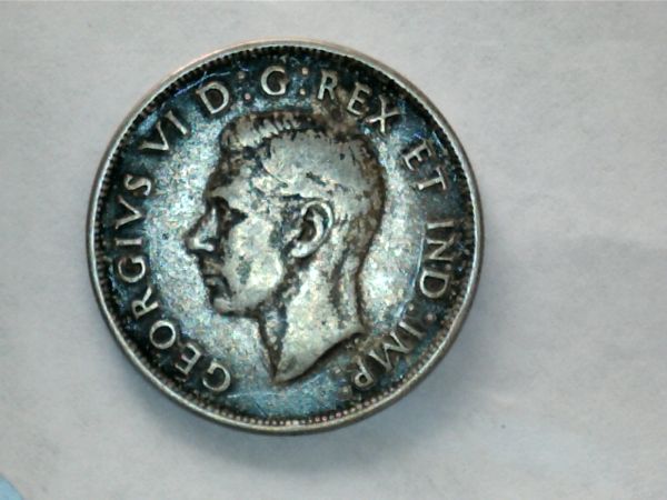 Anything-Worth-Saving-Here?