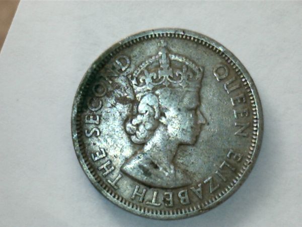 Anything-Worth-Saving-Here?