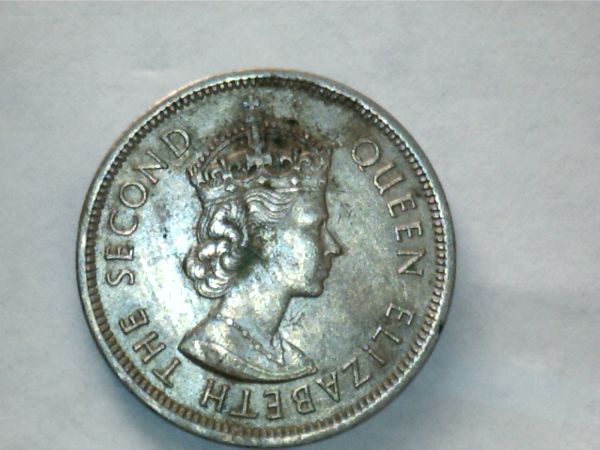 Anything-Worth-Saving-Here?
