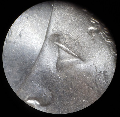 1887-V12-Alligator-Eye