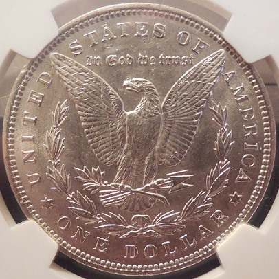 1894-Morgandollar-Help