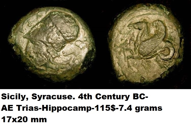 Only-Read-This-If-You-Are-A-Hippocampus-Fan