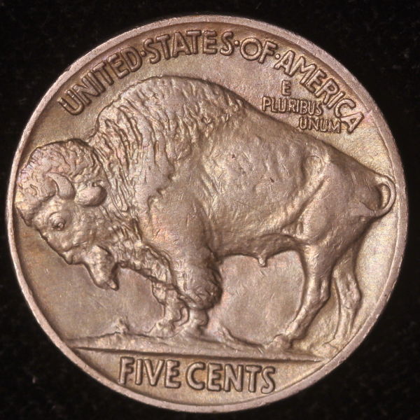 1914-Buffalo-Grading-And-Possible-14/13