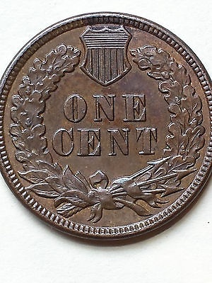 1887-DDO-Indian-Back-From-NGC