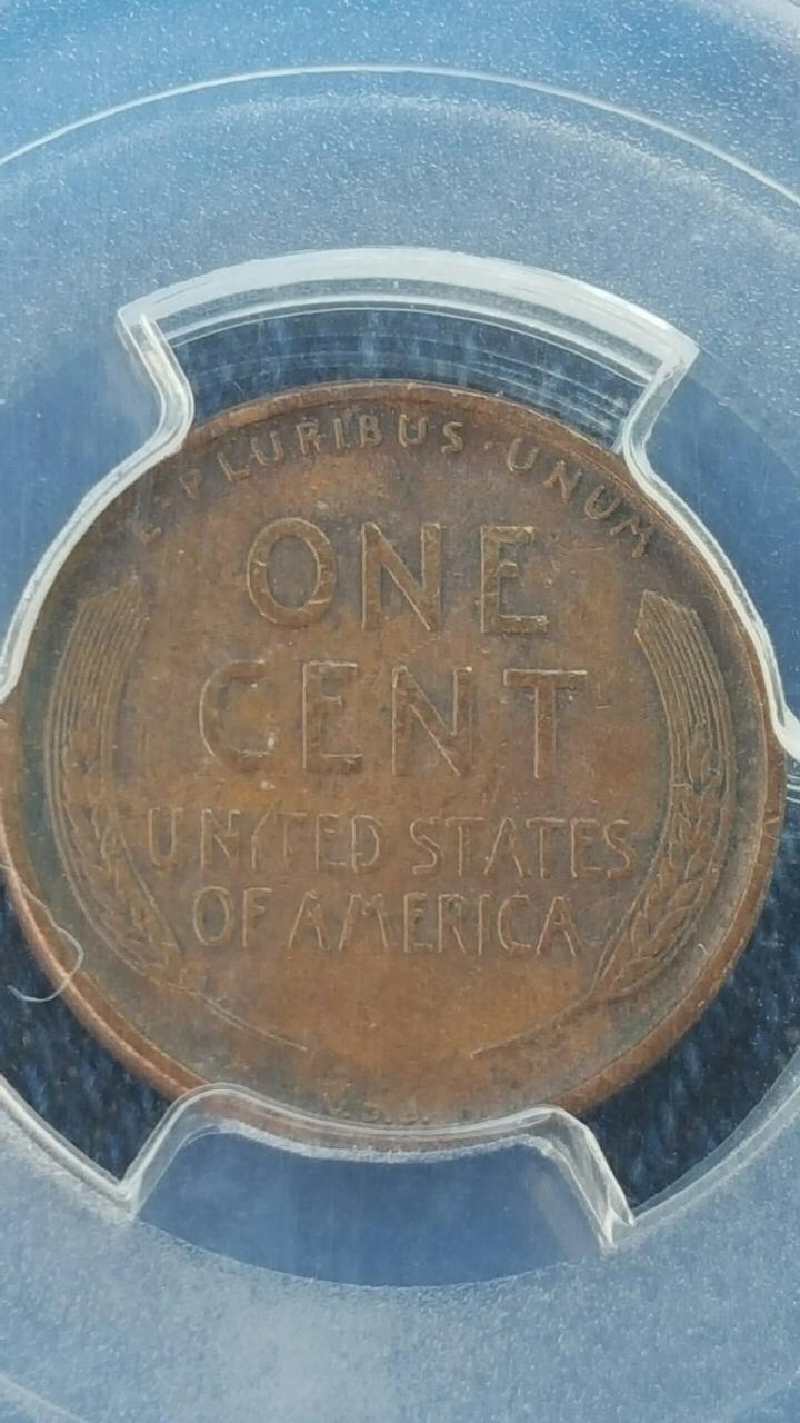 1909-S-VDB-Opinions-Please