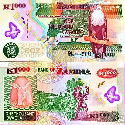 New-World-Polymer-Banknotes-Added-To-Collection.