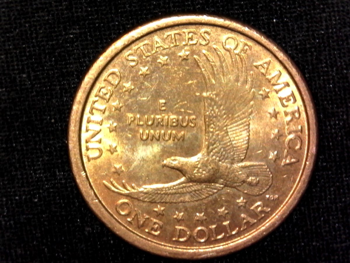 2000-P-Sagagawea-Dollar-Possible-DD?