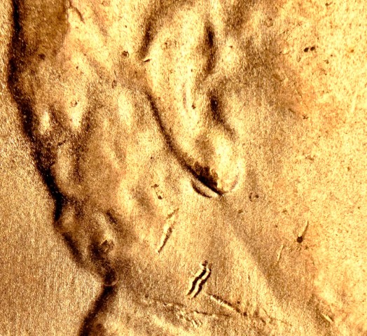 1988-D-Double-Ear-Find