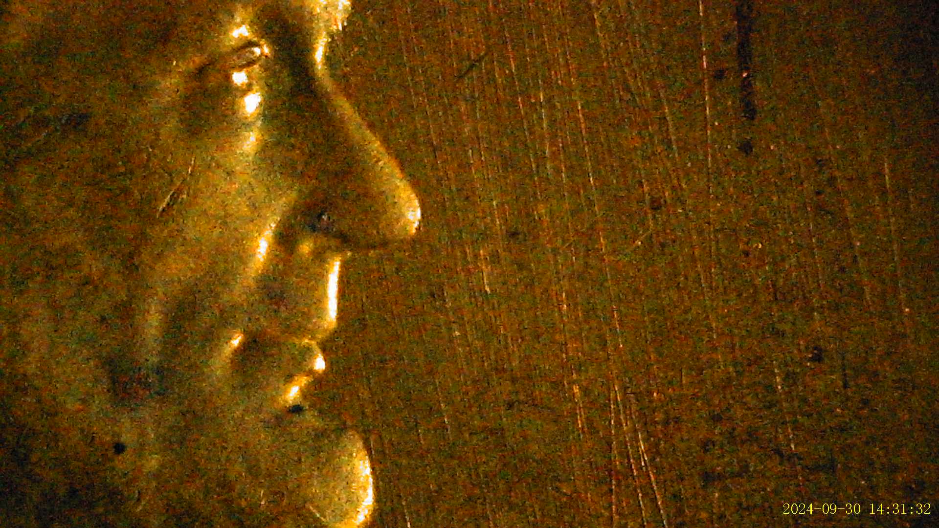 1952-S-Lincoln-Wheat-Cent-RPM-005?