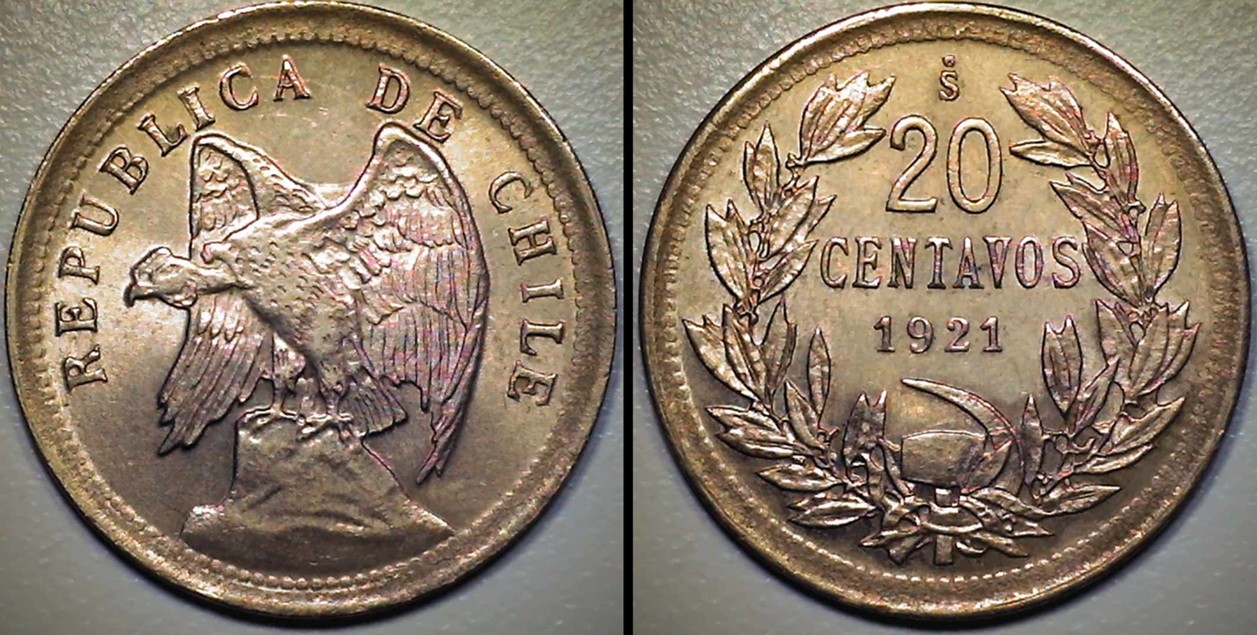 Post-Your-Bird-Coins