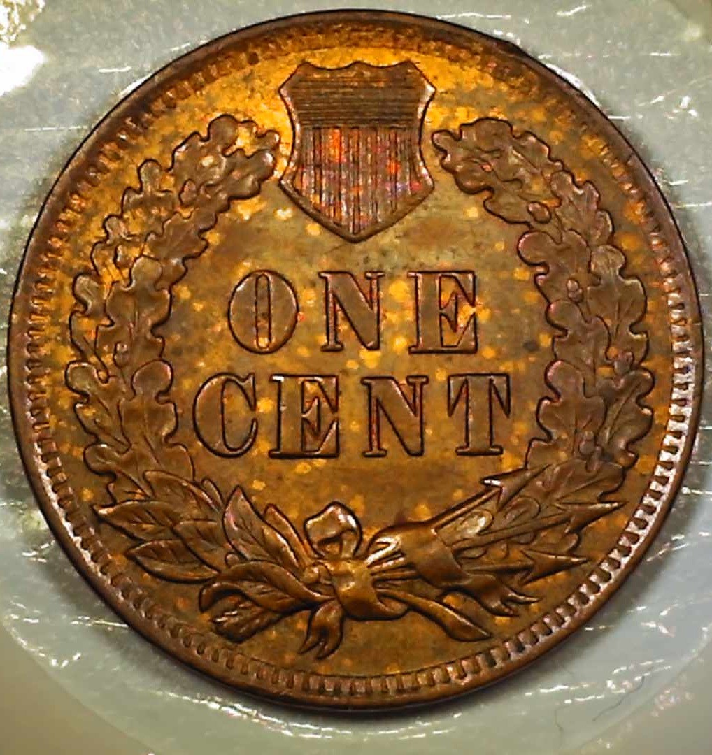 1902-Indian-Head-Cent-W/RPD-For-Grading