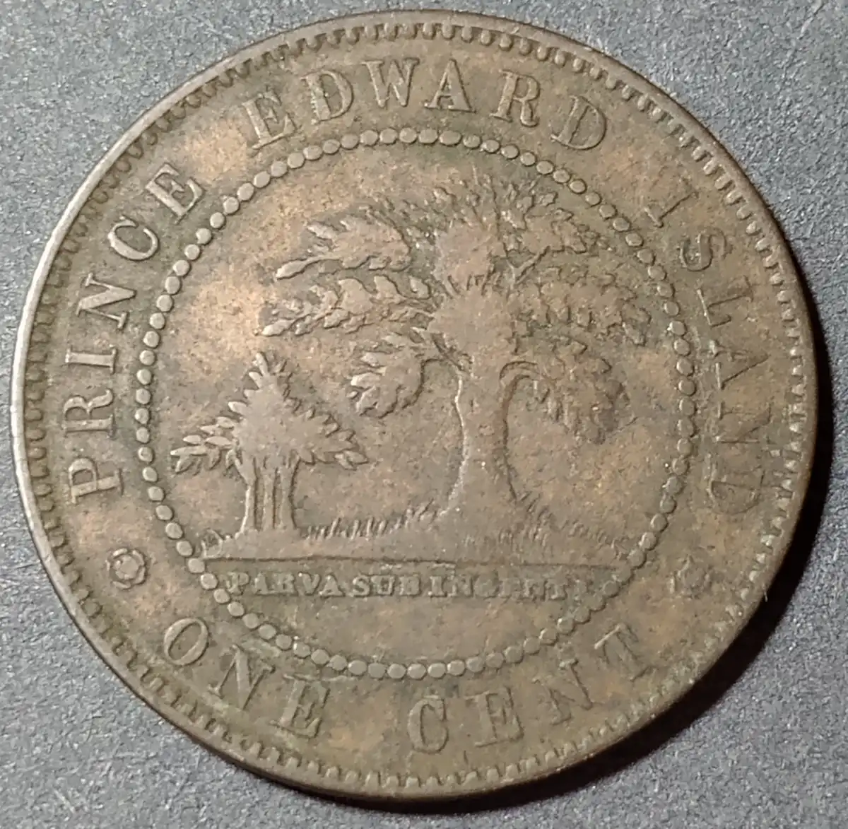 Post-Your-'One-Year-Only'-Coins-Not-Commemoratives!