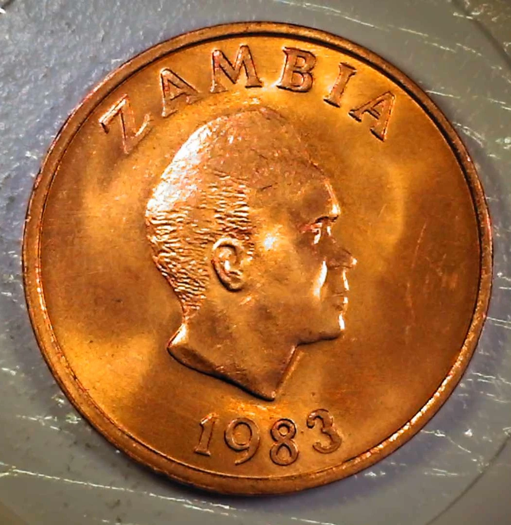 Post-Your-Coins-Representing-The-Animal-Kingdom.