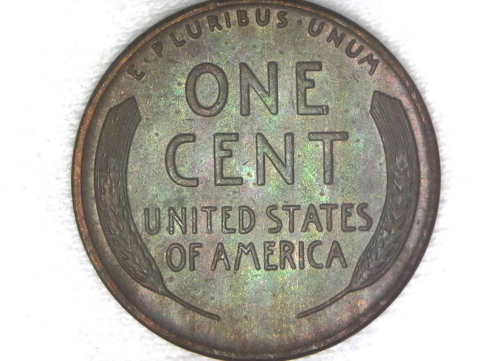 Beautiful-Toned-1942-And-1941-D-Wheat-Cents---Not-Sure-If-I-Should-Get-It-Graded