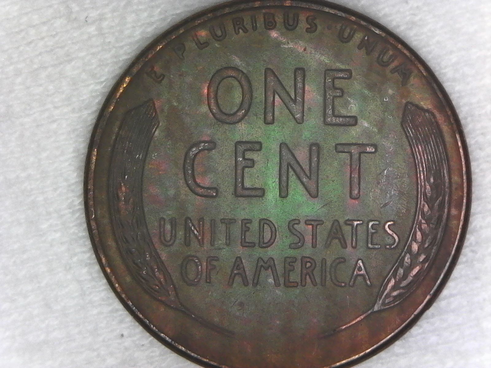 Beautiful-Toned-1942-And-1941-D-Wheat-Cents---Not-Sure-If-I-Should-Get-It-Graded