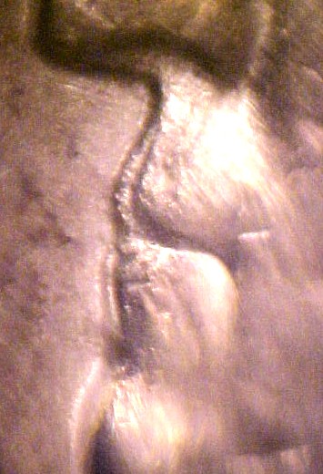 Double-Lip-Washington