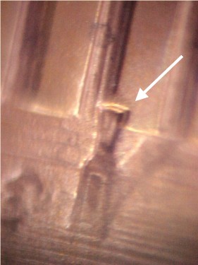 Lincoln-With-Possible-Doubling