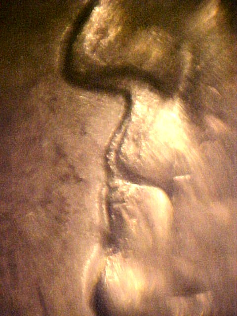 Double-Lip-Quarter