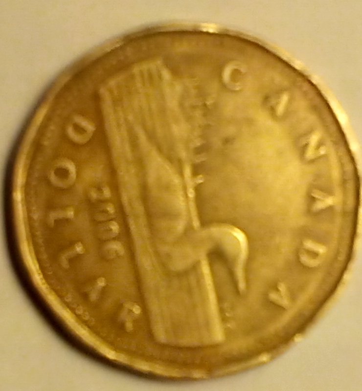 2006-$1-I-Need-Help-.-I'm-Wondering-If-This-Is-A-Error-Coin