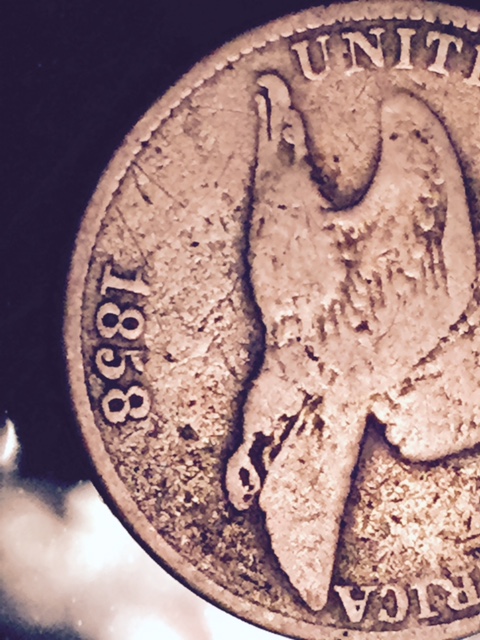Best-Estate-Sale-Coin-Find-+1858/7-Cent?