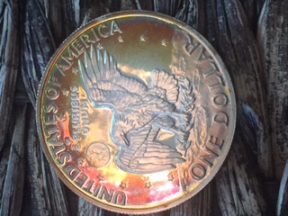 Post-An-Ike-Eisenhower-Dollar