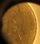 2004-P-Jefferson-Nickel-Huge-Greaser-?