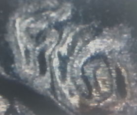 1985-D--Cent-Double-Die?