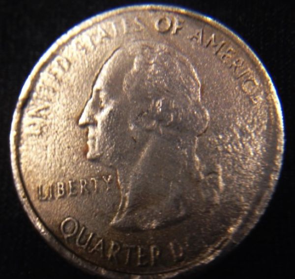 Found-These-Today...-Thoughts?-Education-For-The-Newbie>>>