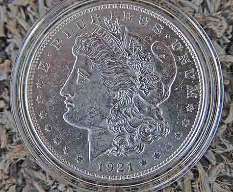 Is-This-A-Nice-Morgan?