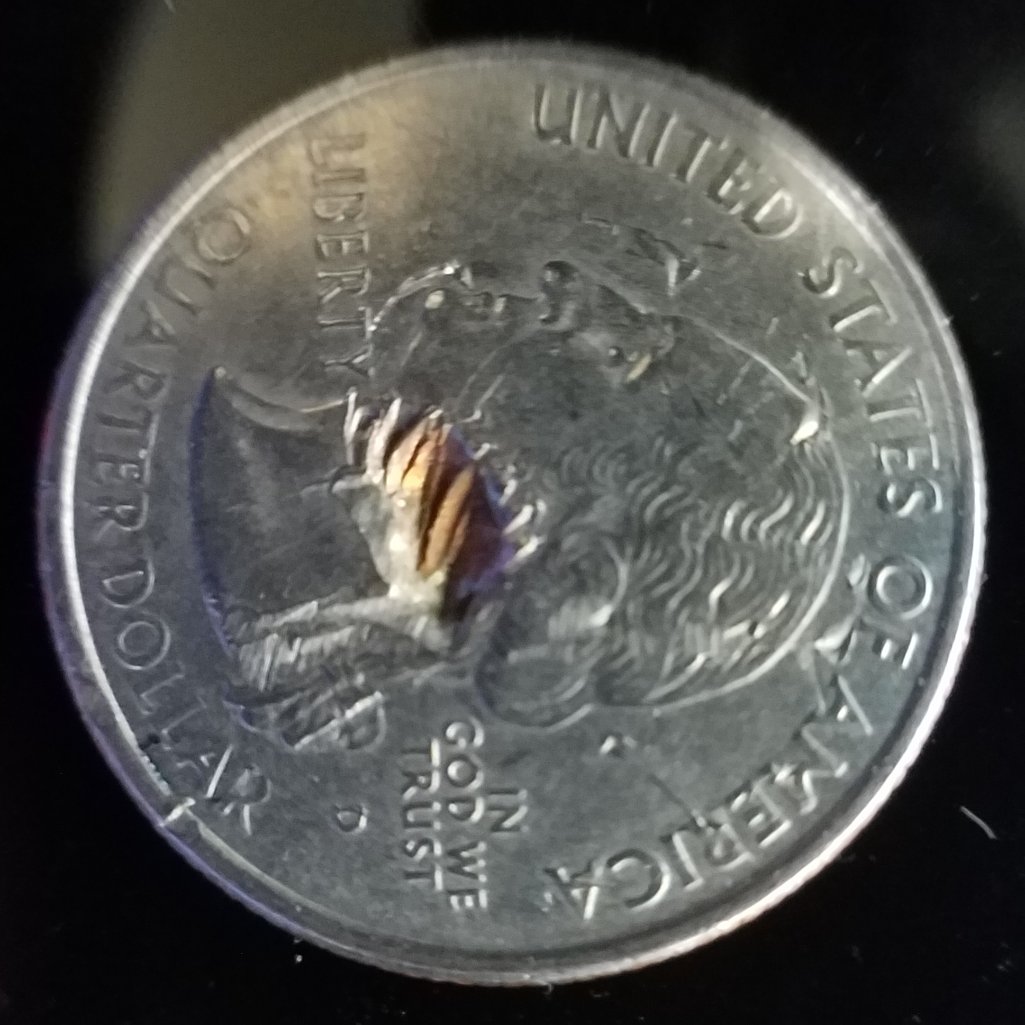 2004-Michigan-Quarter,-What-Is-Going-On-Here?