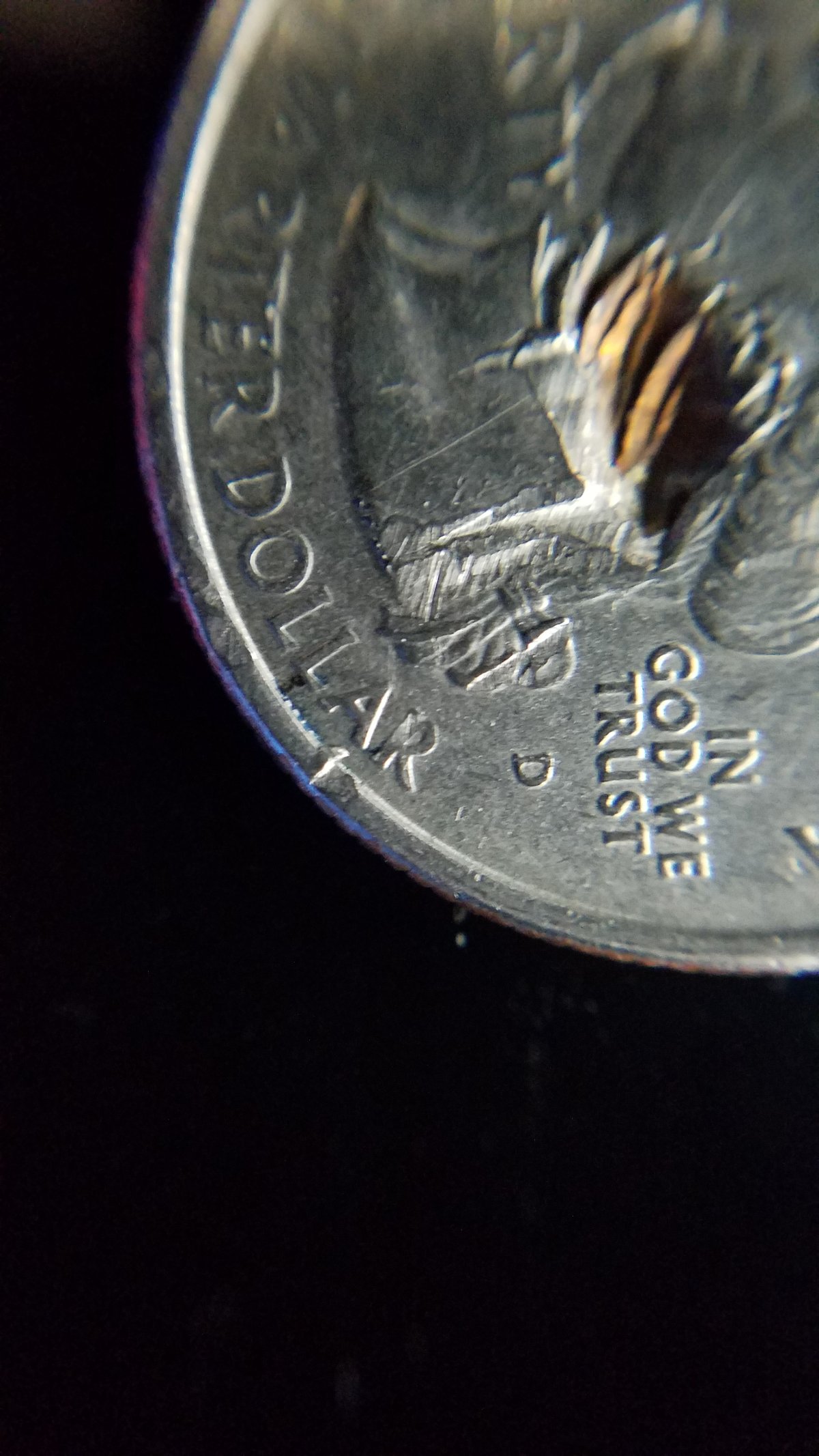 2004-Michigan-Quarter,-What-Is-Going-On-Here?