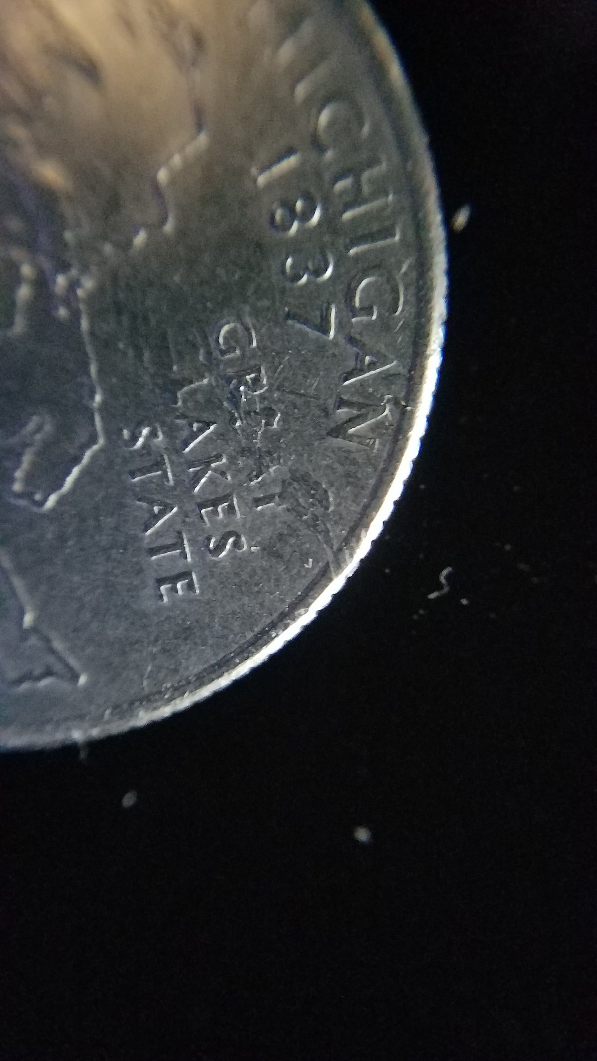 2004-Michigan-Quarter,-What-Is-Going-On-Here?