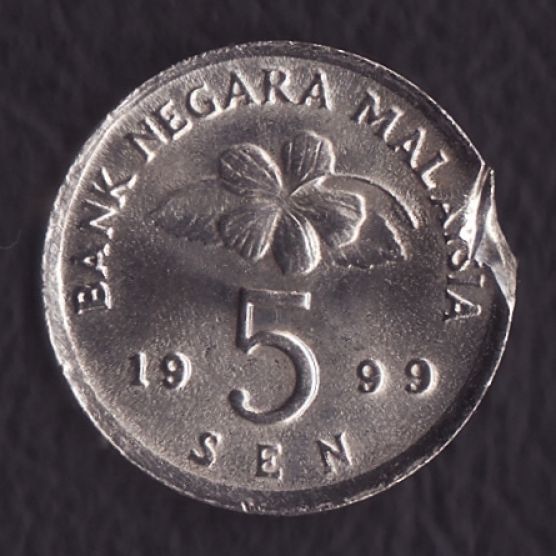 Ragged-Clipped-Coin?