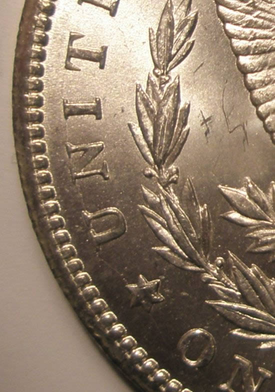 1884-CC-Morgan-Pictures