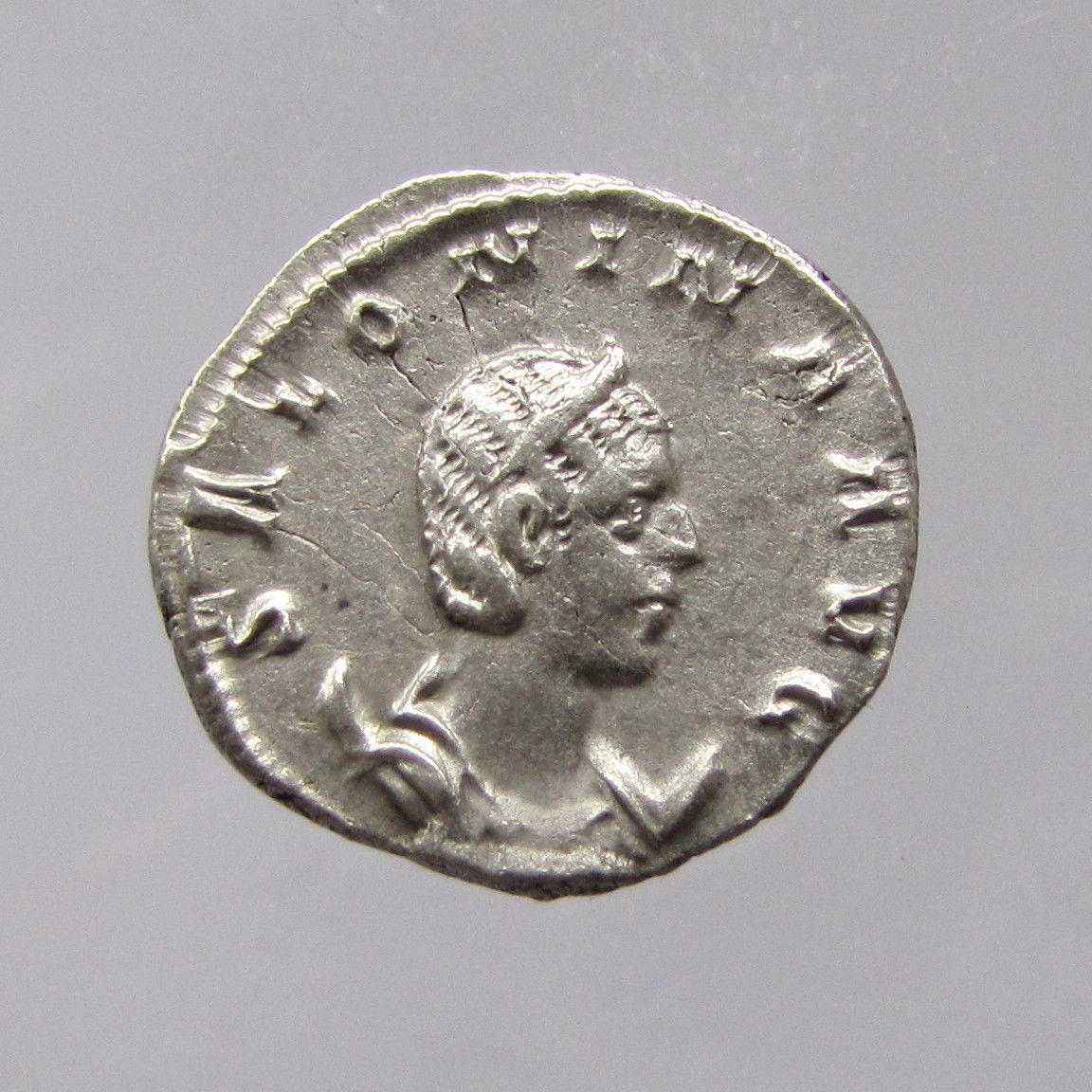 Fake-Ancients?-Can't-Really-Tell!