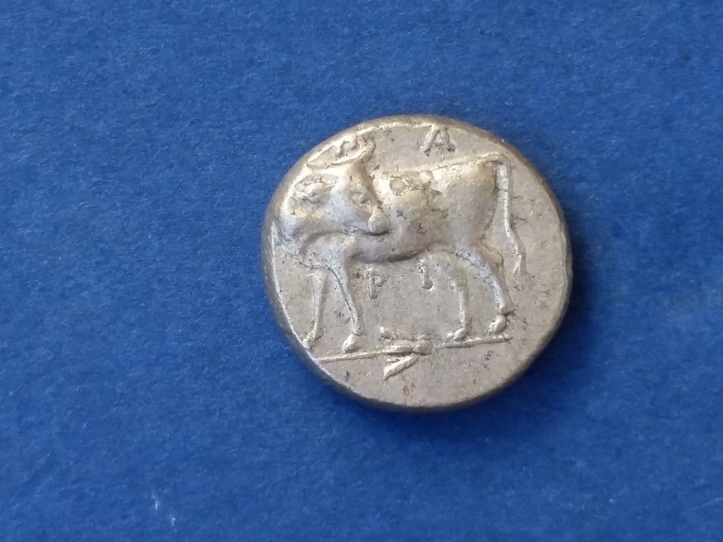 Fake-Ancients?-Can't-Really-Tell!