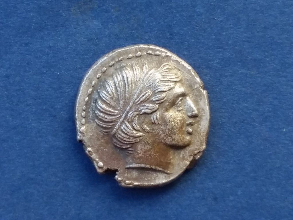 Fake-Ancients?-Can't-Really-Tell!