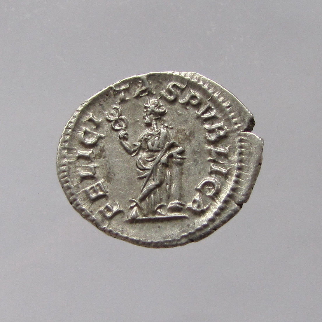Fake-Ancients?-Can't-Really-Tell!