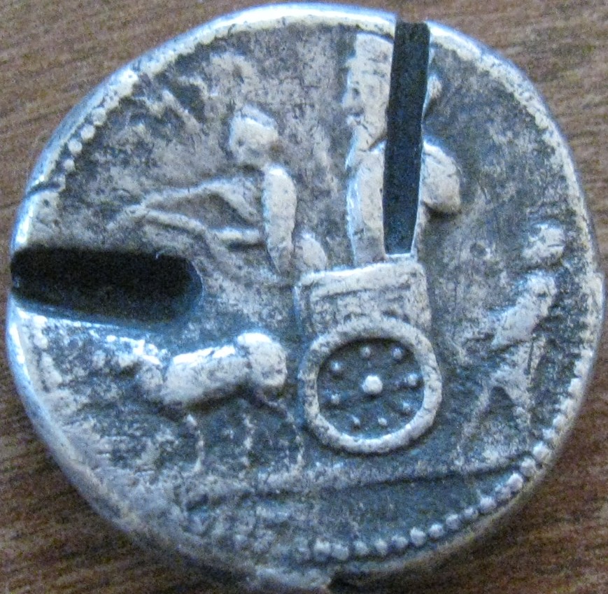 Need-Help-Identifying-Again-Please