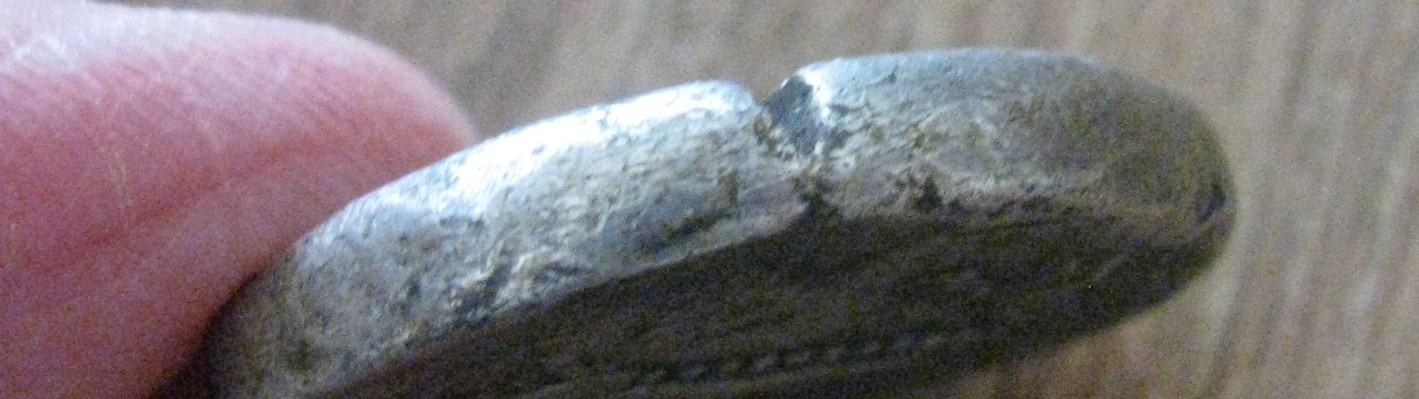 Need-Help-Identifying-Again-Please