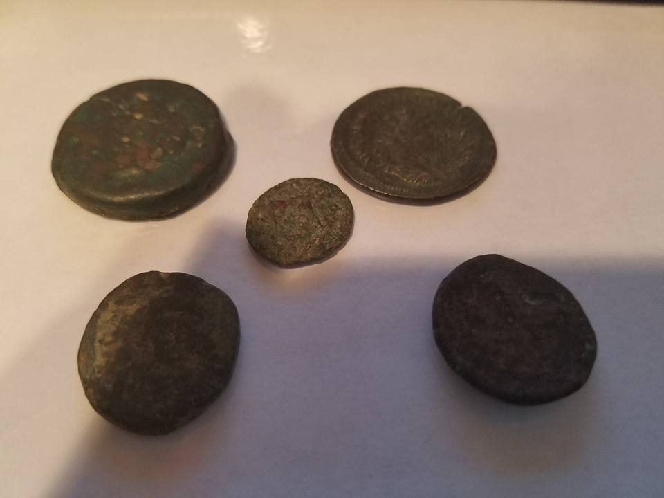 Help-Identifying-Please