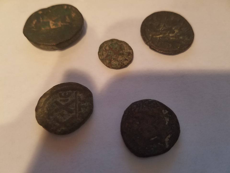 Help-Identifying-Please