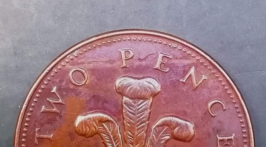 Two-Pence-Elizabeth-II-2000