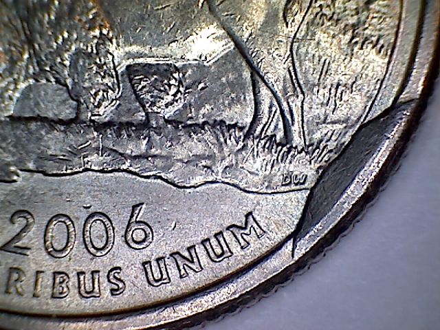 Cud-On-A-Quarter-And-Speared-In-The-Rear-Nickel?