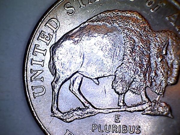 Cud-On-A-Quarter-And-Speared-In-The-Rear-Nickel?
