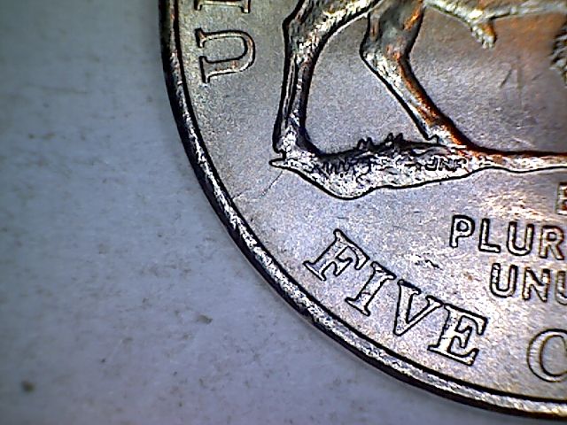 Cud-On-A-Quarter-And-Speared-In-The-Rear-Nickel?